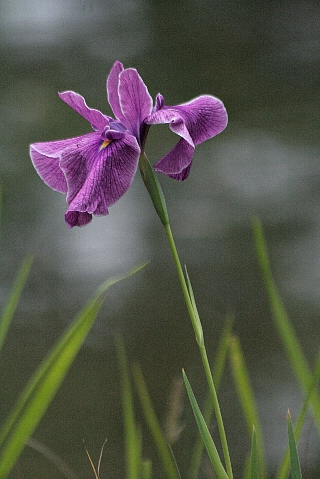 d0133693_2003933.jpg