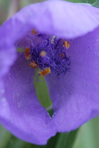 d0133693_201175.jpg