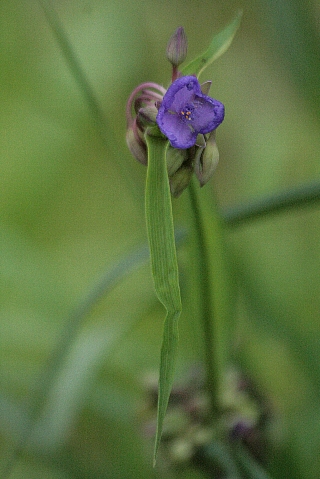 d0133693_2012324.jpg
