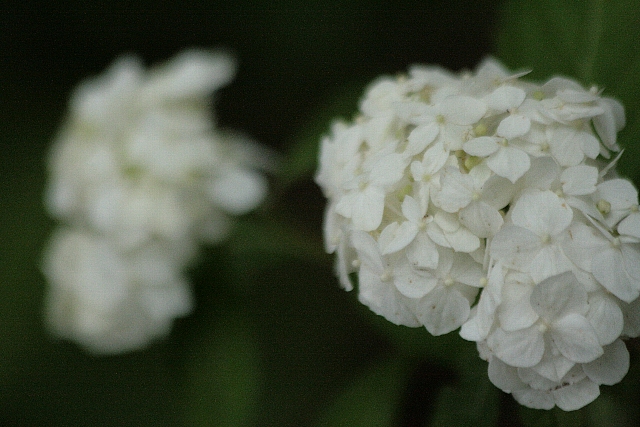 d0133693_2014110.jpg