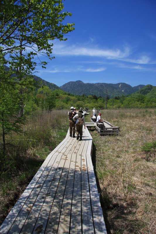 f0129994_2342372.jpg