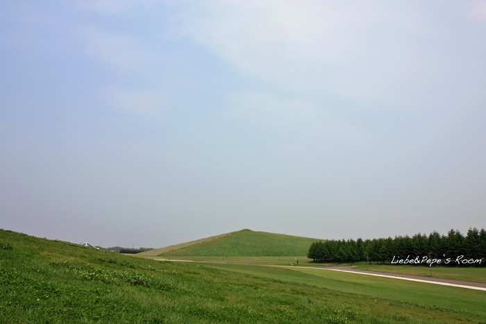 f0001895_194363.jpg