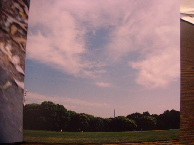 c0173896_16594837.jpg