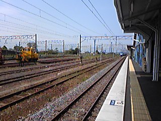 b0029202_14552023.jpg