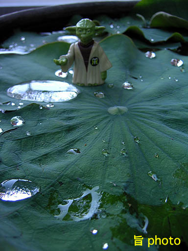 b0061004_127325.jpg