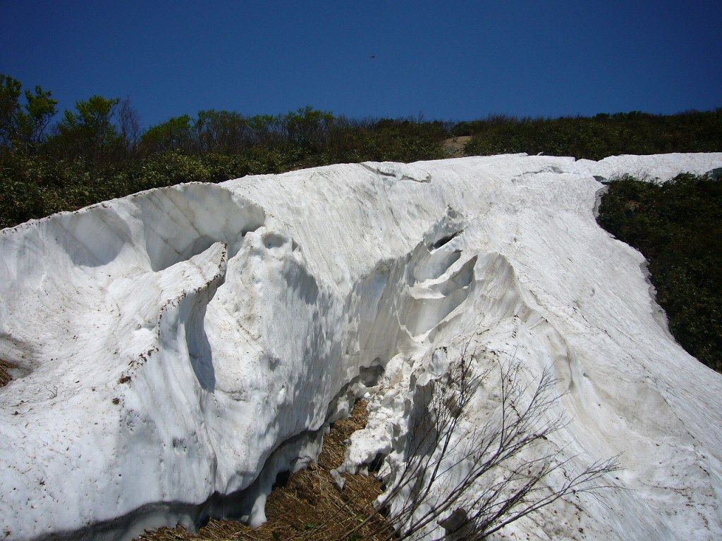 b0050305_19211119.jpg