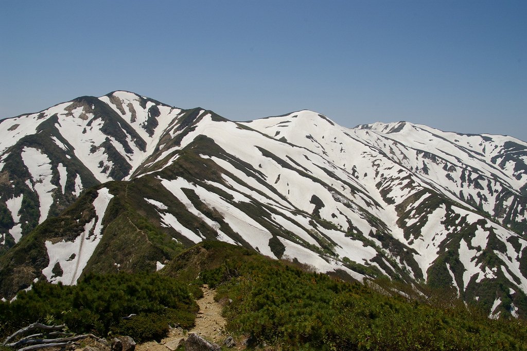 b0050305_19223969.jpg