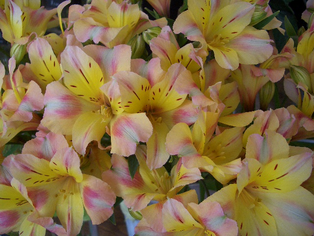 e0128909_18141726.jpg