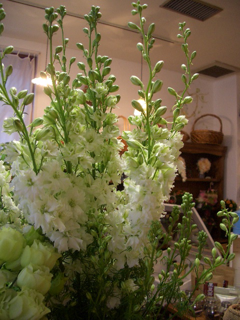 e0128909_18162862.jpg