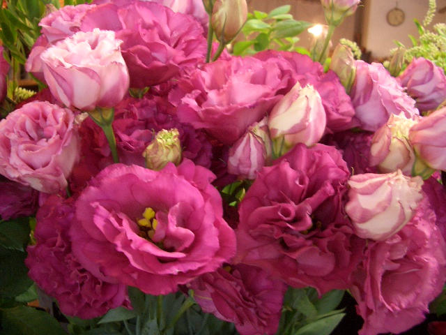 e0128909_1871182.jpg