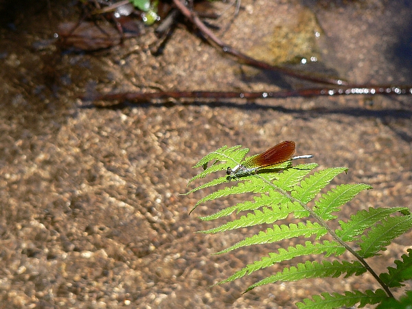 e0002314_22472238.jpg