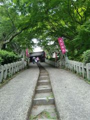 f0201214_22354163.jpg