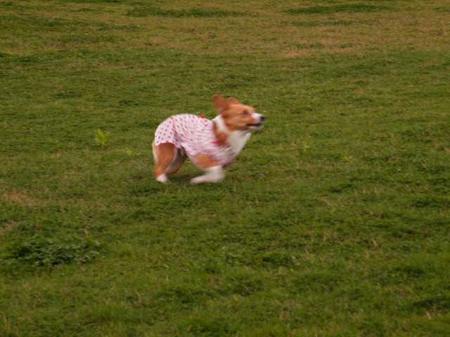 c0127617_15303534.jpg