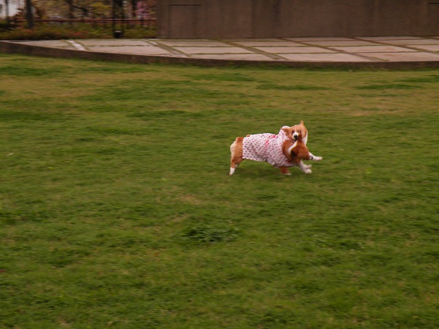 c0127617_15305318.jpg