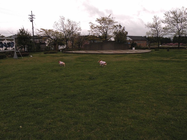 c0127617_15311657.jpg
