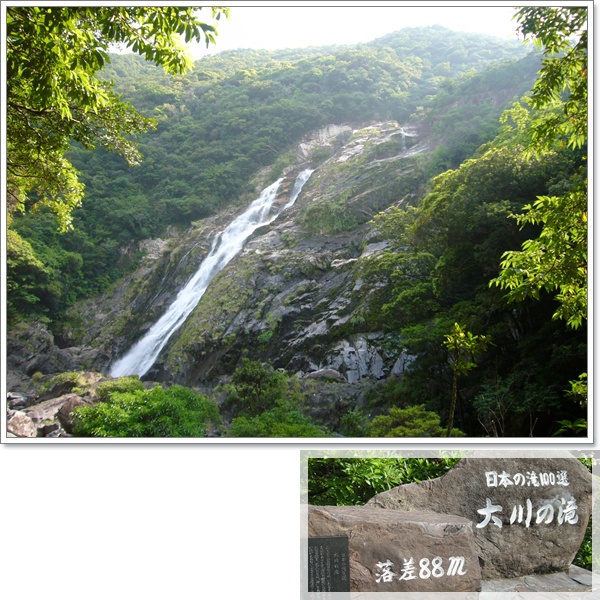 d0080118_2127149.jpg