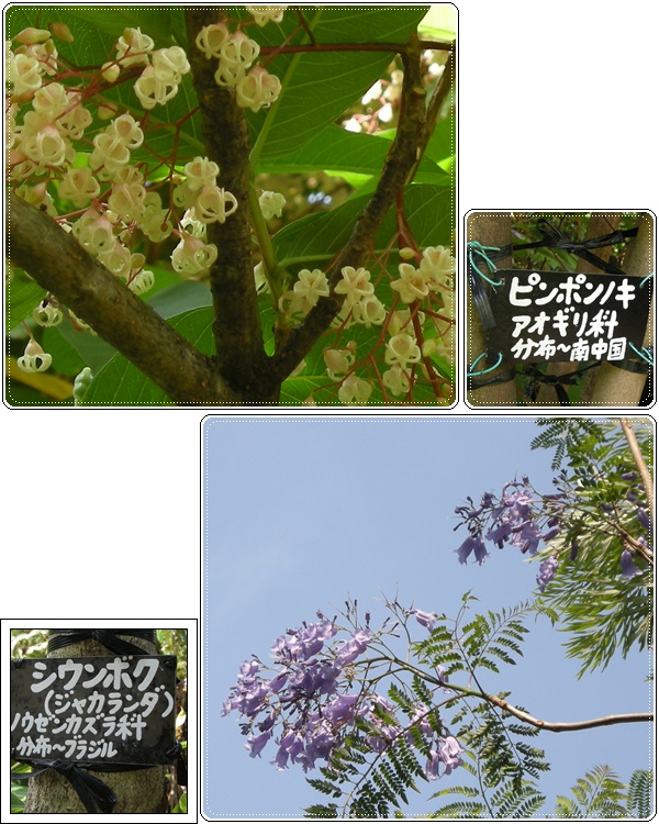 d0080118_2143271.jpg