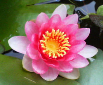 f0036223_20402640.jpg