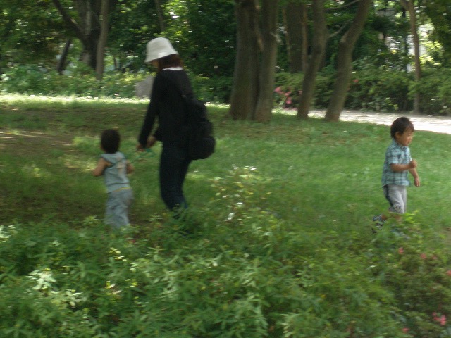 c0031124_033288.jpg