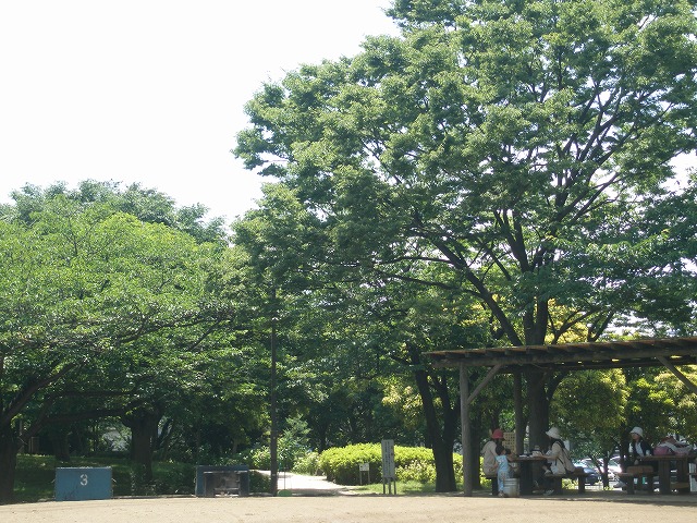 c0031124_044618.jpg
