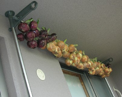 f0150629_21434570.jpg