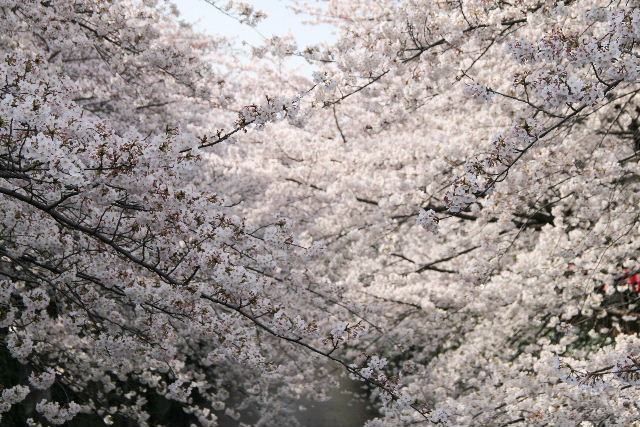 e0064133_22531490.jpg