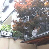 d0033734_1752081.gif