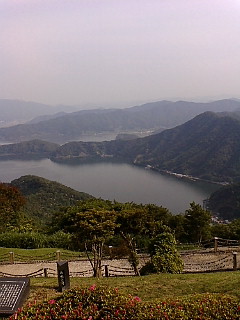 b0030935_21333962.jpg
