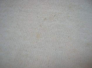 c0177238_13163297.jpg