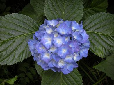 b0024439_9181226.jpg