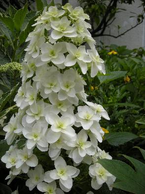 b0024439_9183869.jpg