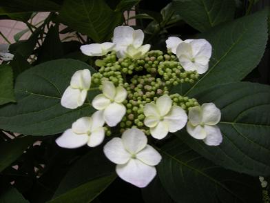 b0024439_9225271.jpg