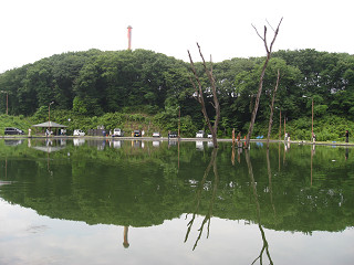 f0065341_155476.jpg