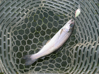 f0065341_1562651.jpg
