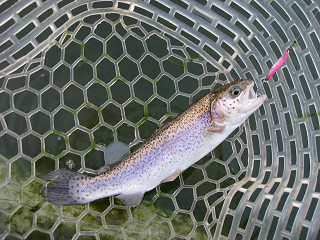 f0065341_1575050.jpg