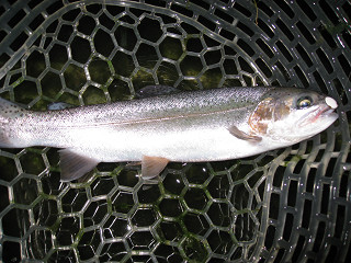 f0065341_159503.jpg