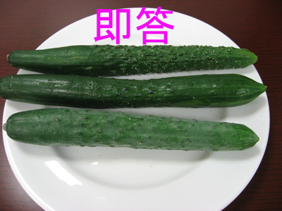 a0120944_12295616.jpg