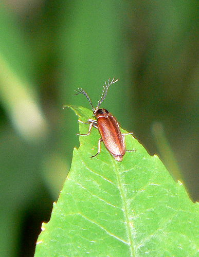 d0091754_2561748.jpg