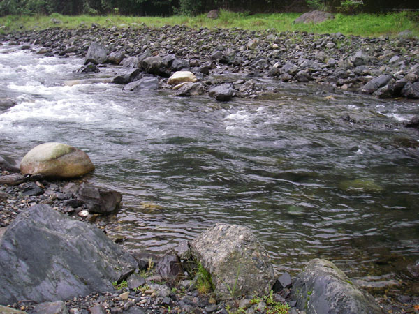 b0053660_956329.jpg