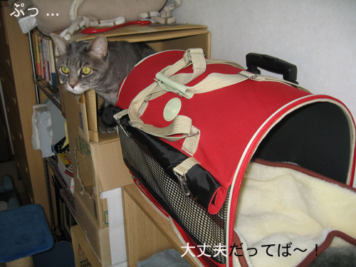e0057361_16382414.jpg