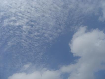 f0142862_124855.jpg