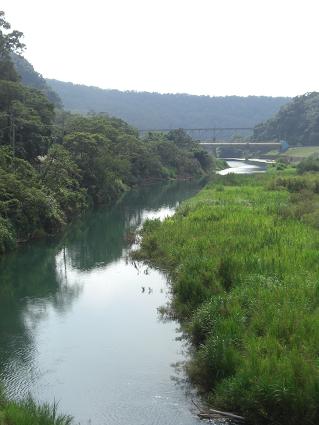 f0142862_1321592.jpg