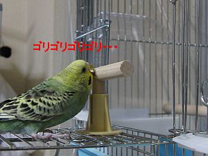 f0196665_0225427.jpg