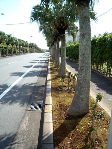 e0097770_22464792.jpg