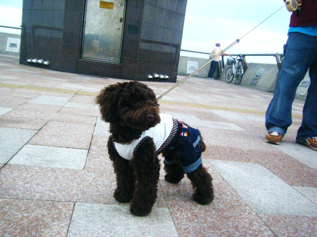 f0207970_957181.jpg