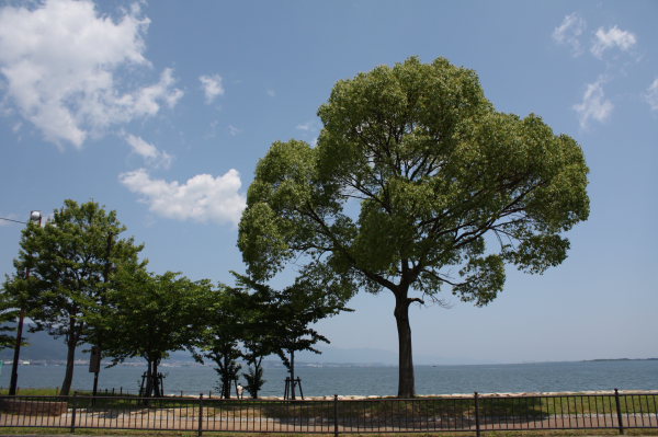 b0055171_13252431.jpg