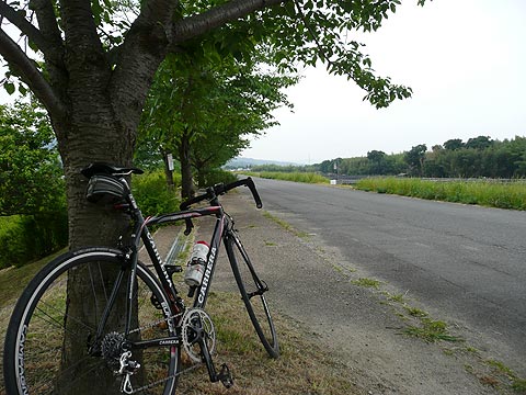 c0107075_10554596.jpg