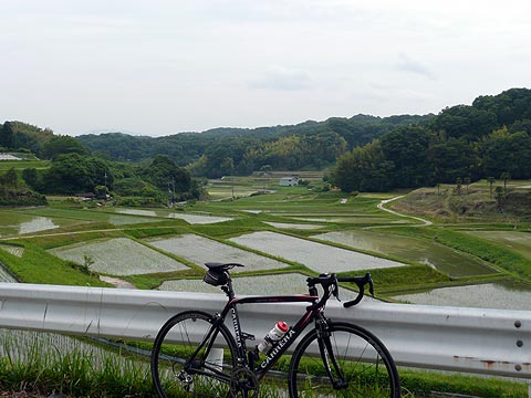 c0107075_1057477.jpg