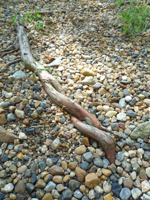 c0160778_21455991.jpg