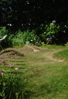 c0135480_1002010.jpg
